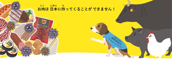 動物検疫所 画像