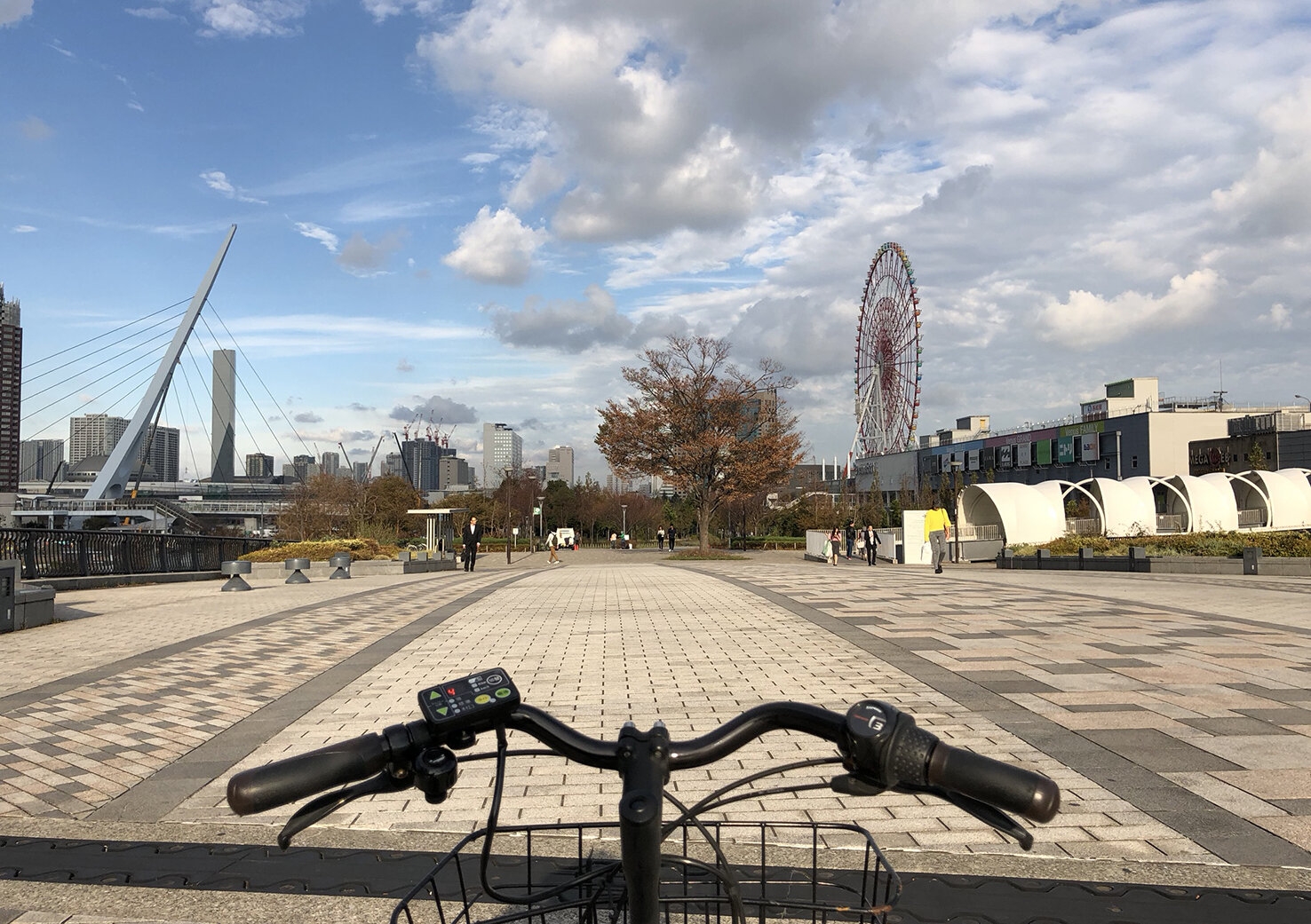 IMG_6183.JPEG
