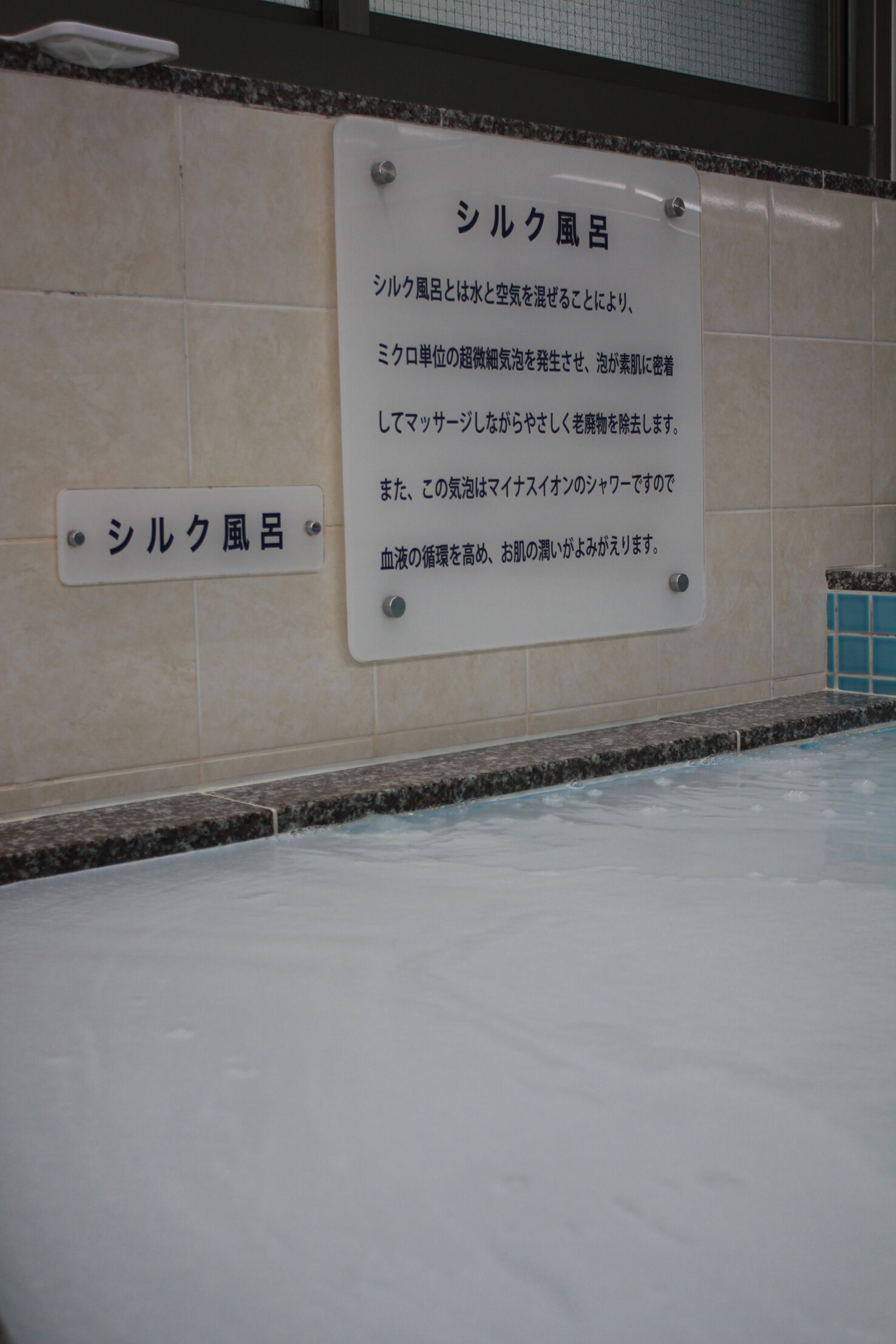 IMG_8749.jpg