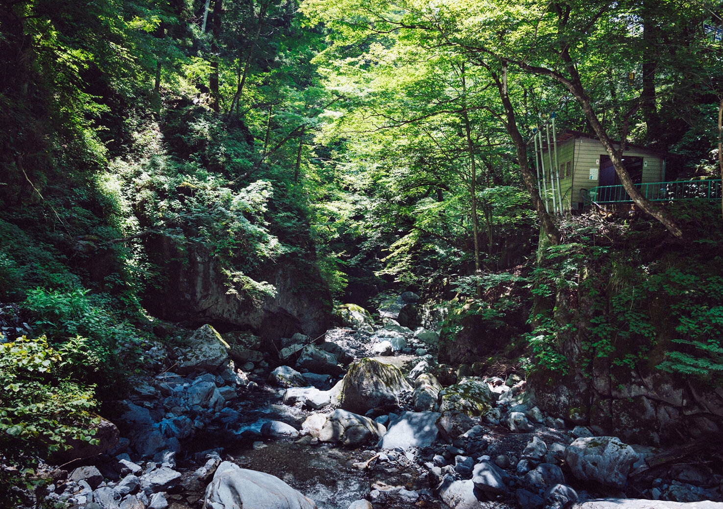 nippara-shounyudo_20170720_13.jpg