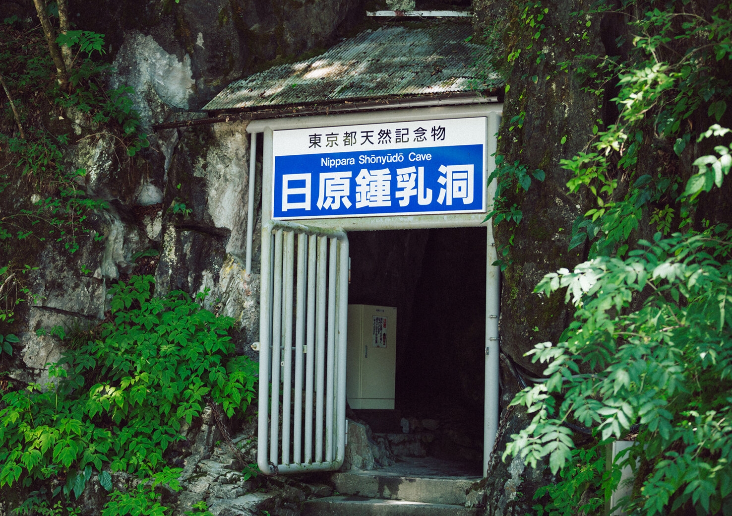 nippara-shounyudo_20170720_2.jpg