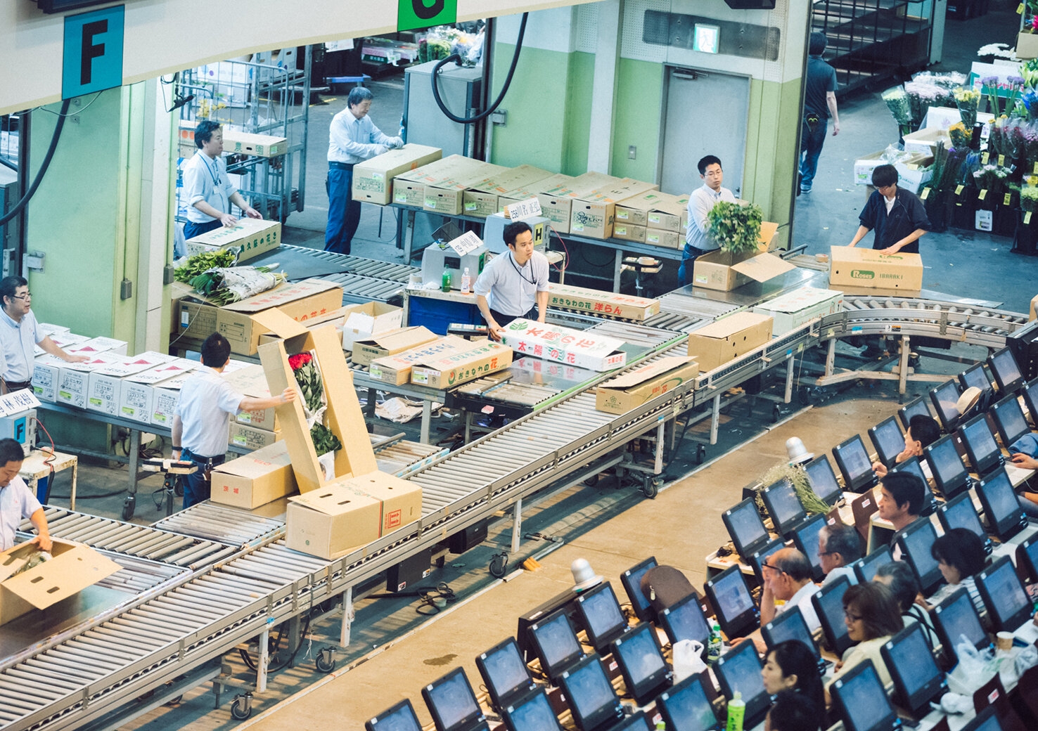ohta-shijo_20170626_4.jpg