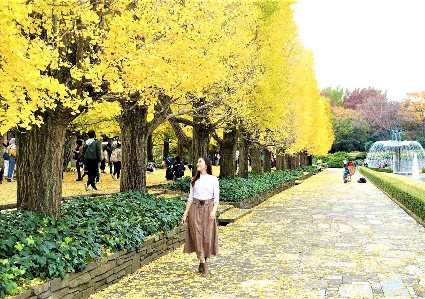 rachel leng_showa memorial park .jpg