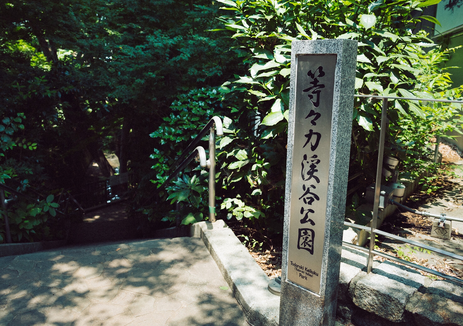 todoroki-keikoku_20170707_1.jpg