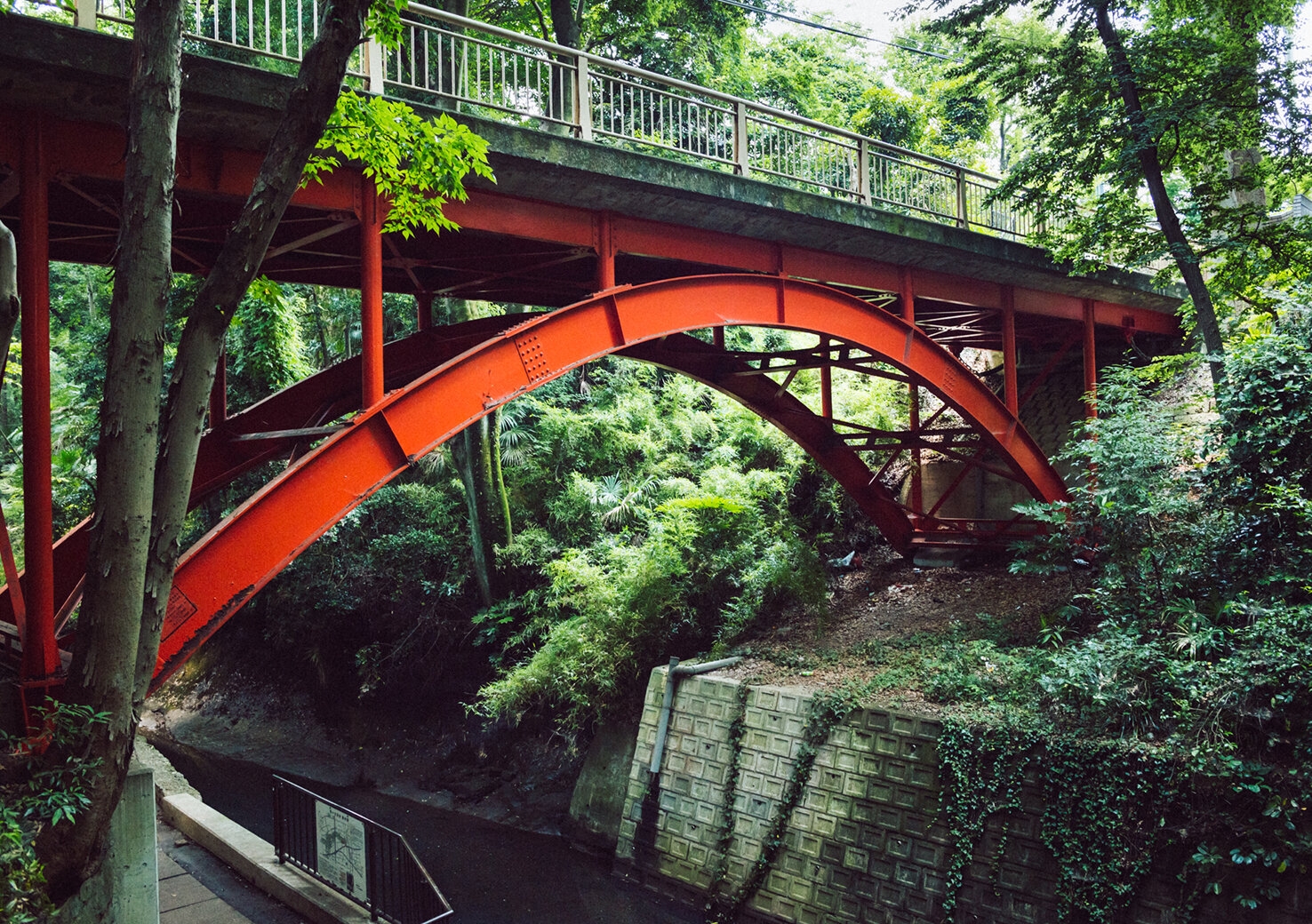 todoroki-keikoku_20170707_2.jpg