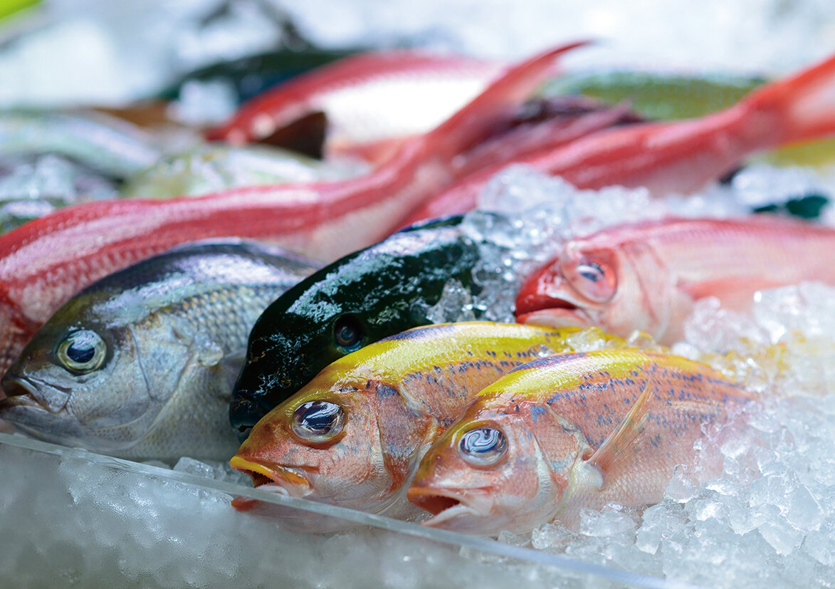 fish_s_cmyk.jpg