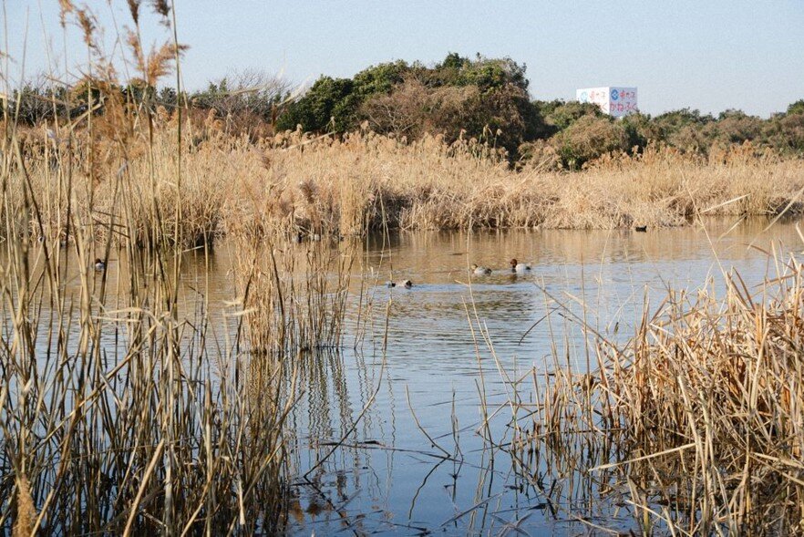 鳥類園.jpg