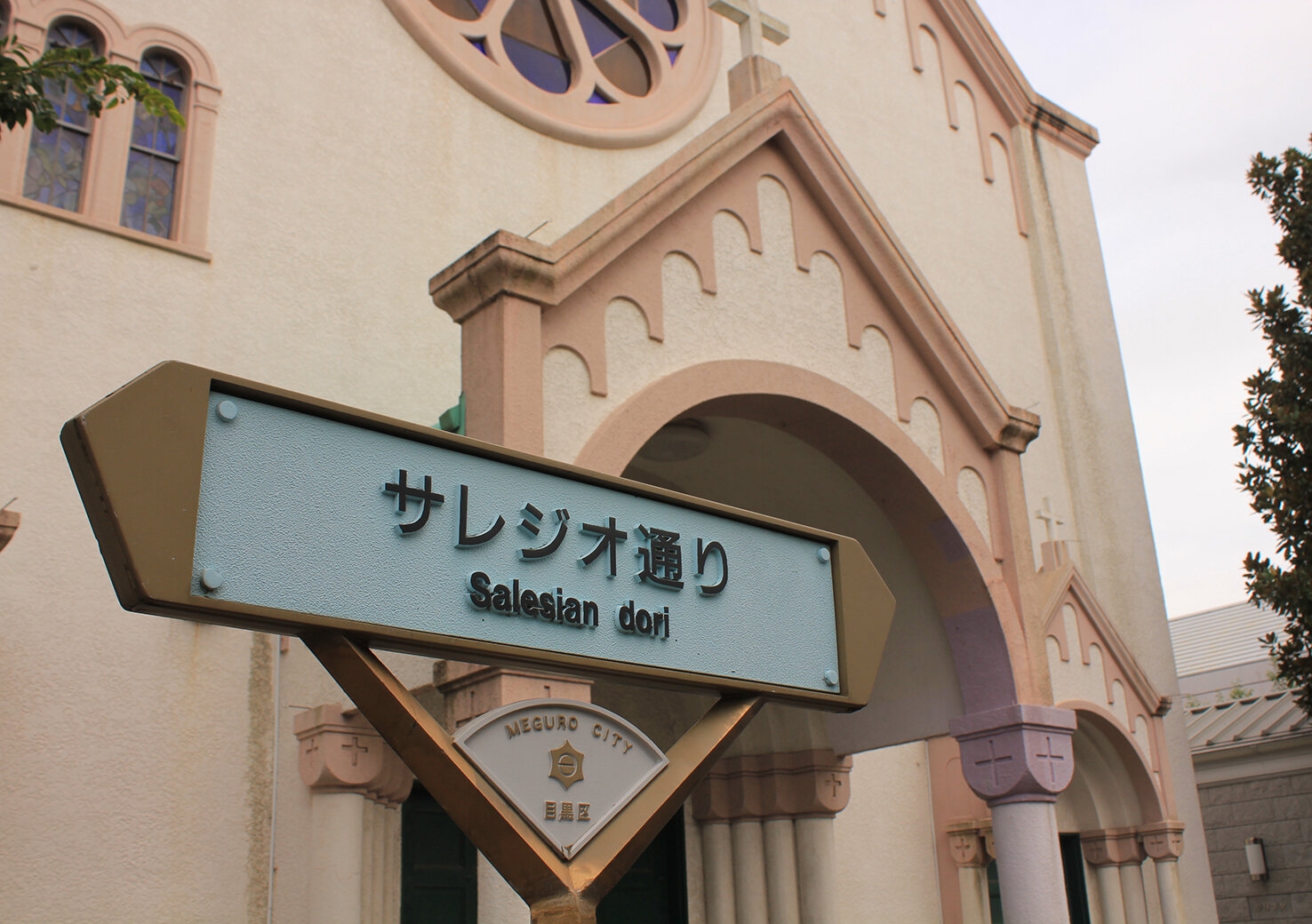 繧ｵ繝ｬ繧ｷ繧吶が謨吩ｼ・IMG_3714.JPG