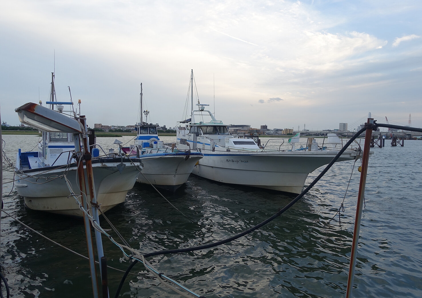 DSC08513.JPG