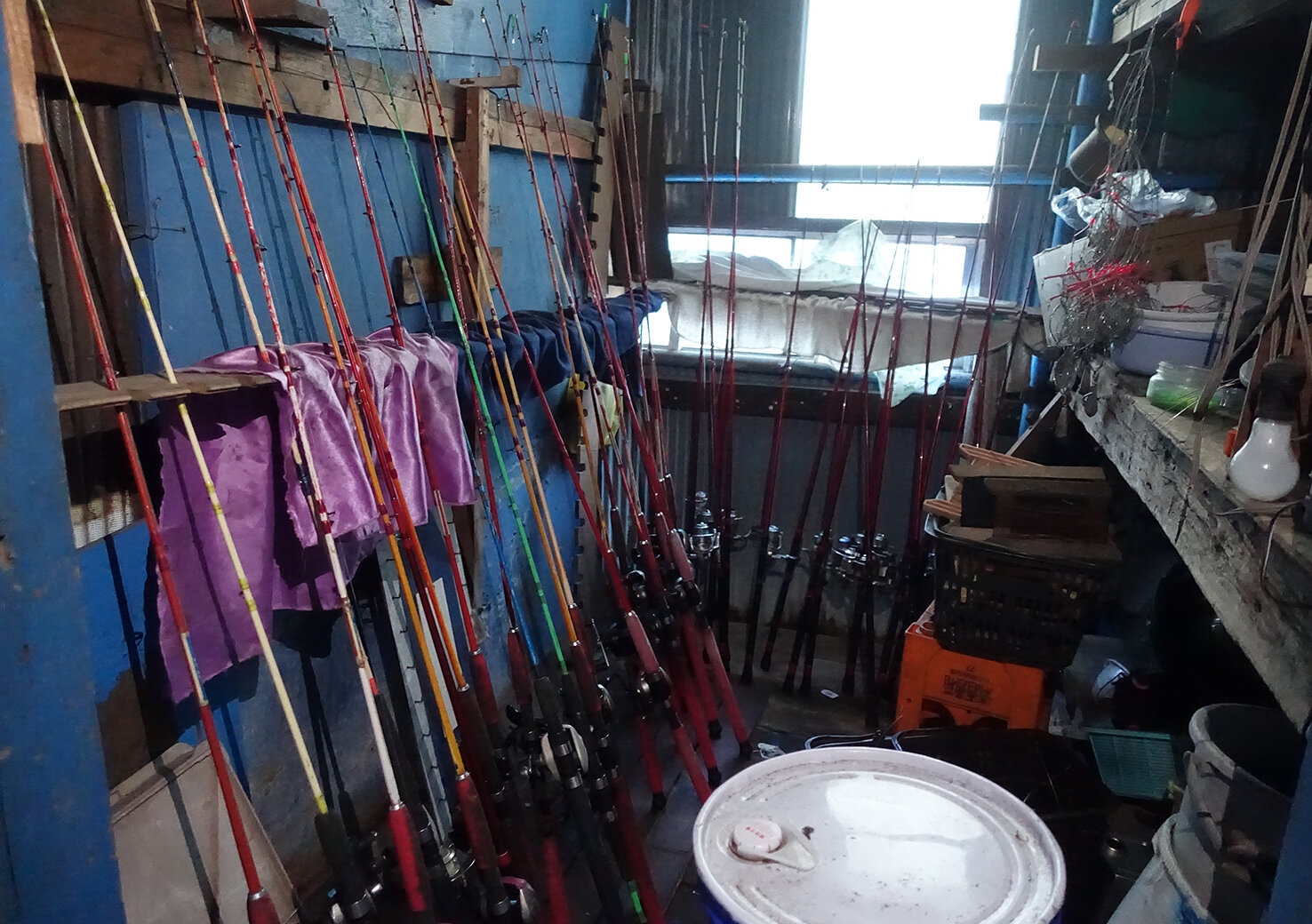 DSC08636.JPG