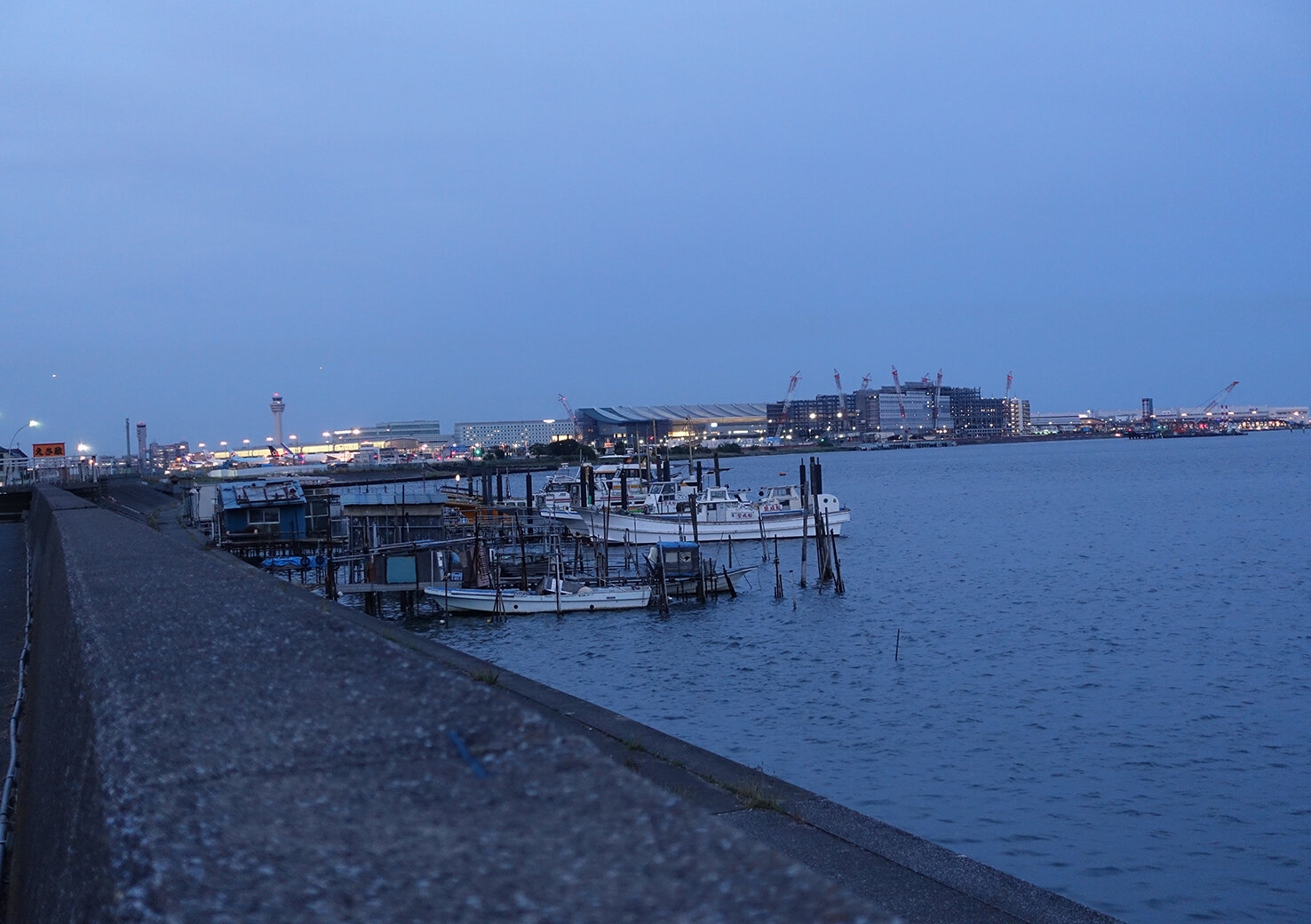 DSC08703.JPG
