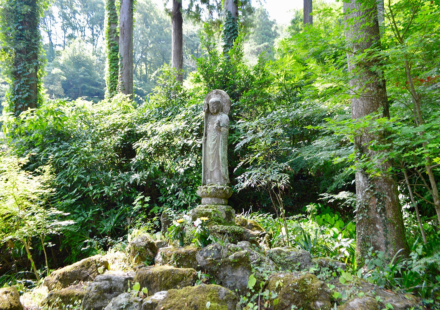 DSC_0665.jpg