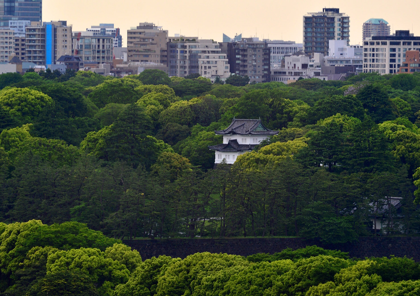 Photo Tour 2.JPG