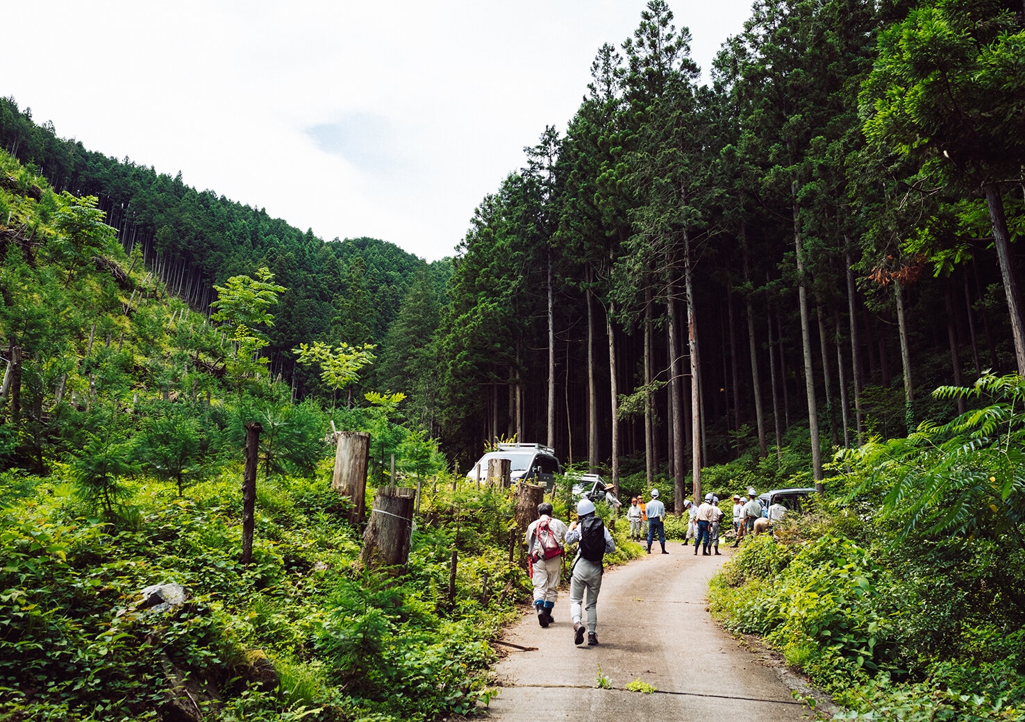 lifeintokyo_20180627_5.jpg