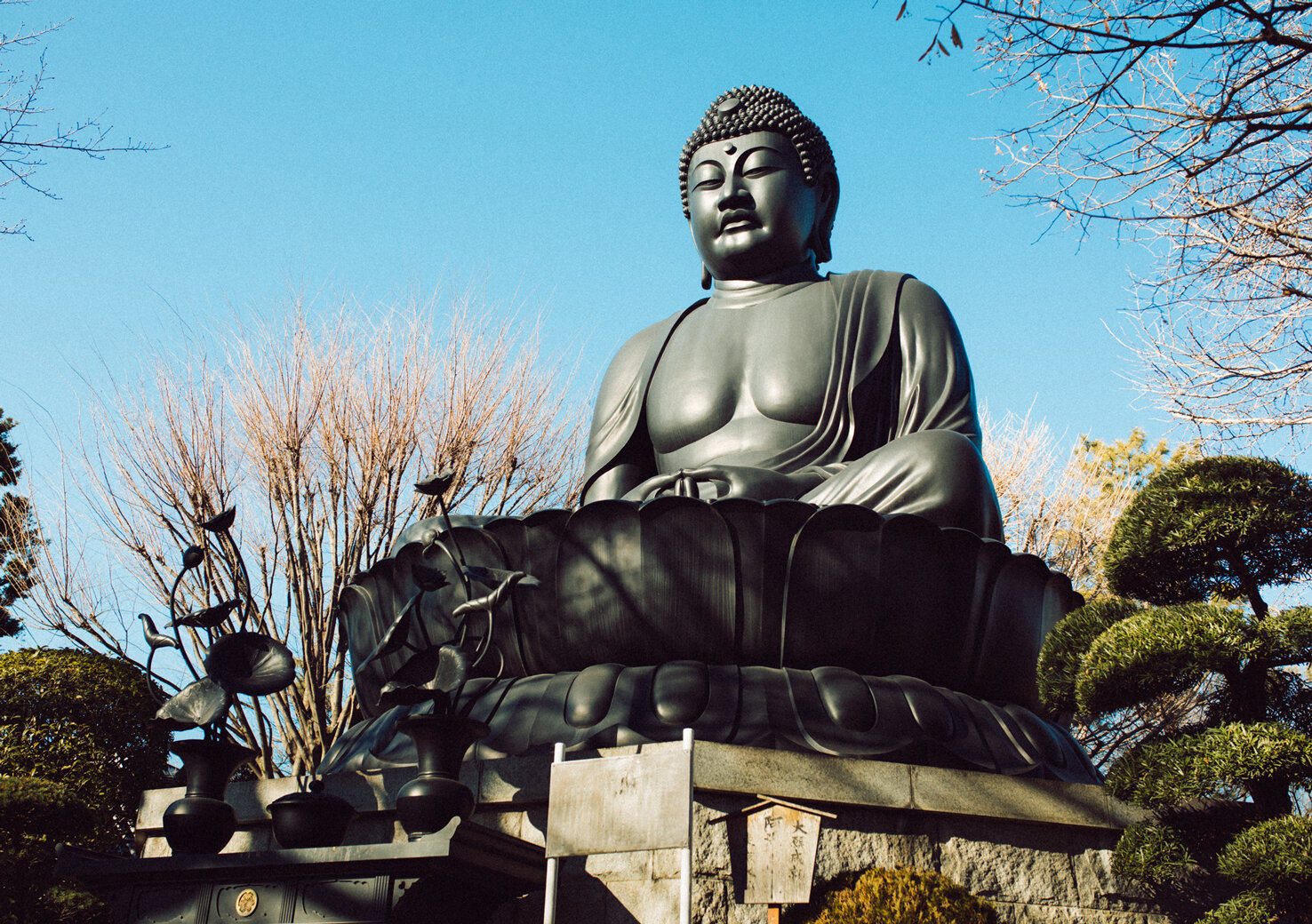 東京 大仏 乗 蓮 寺(02)