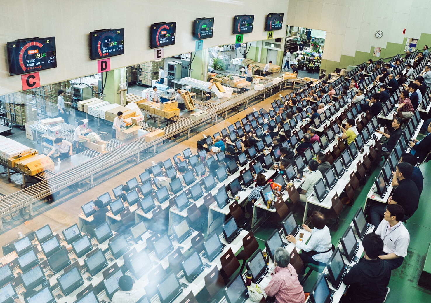 ohta-shijo_20170626_3.jpg