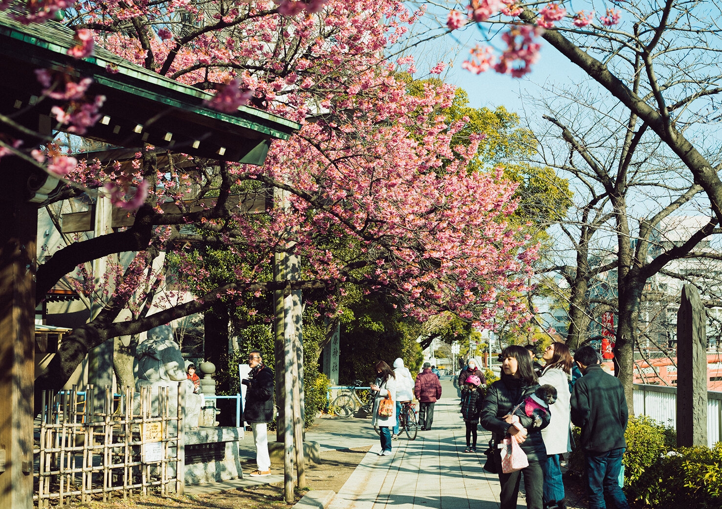 shinagawashuku_20180204_12.jpg