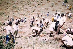 ©Tanzania Pole Pole Club