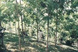©Tanzania Pole Pole Club
